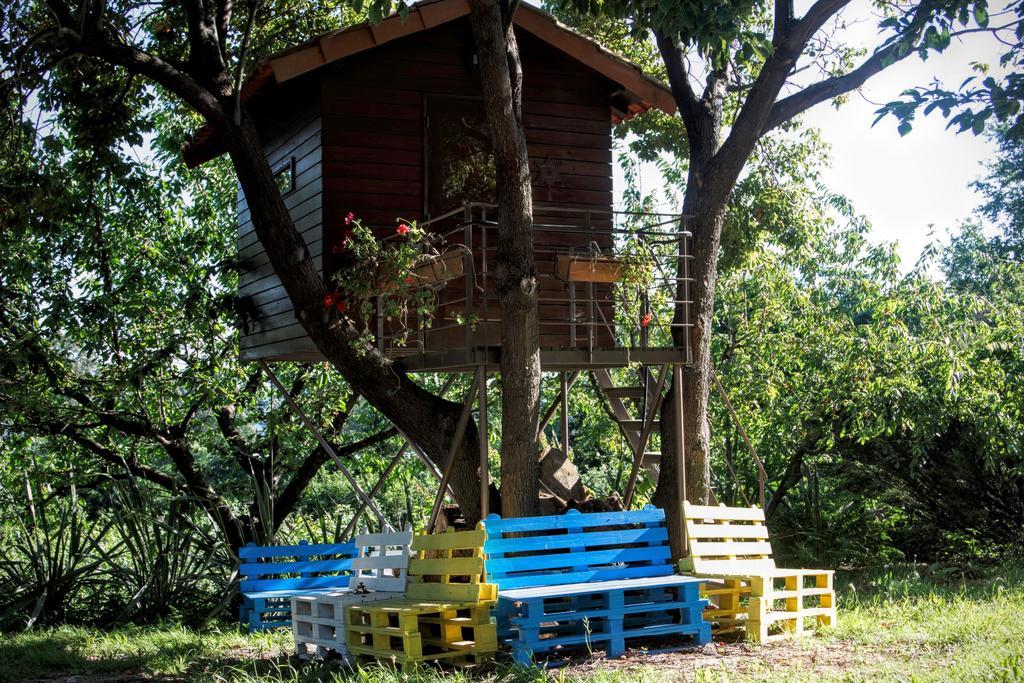 Villa Quinta Do Pinheiral Favoes Exterior foto